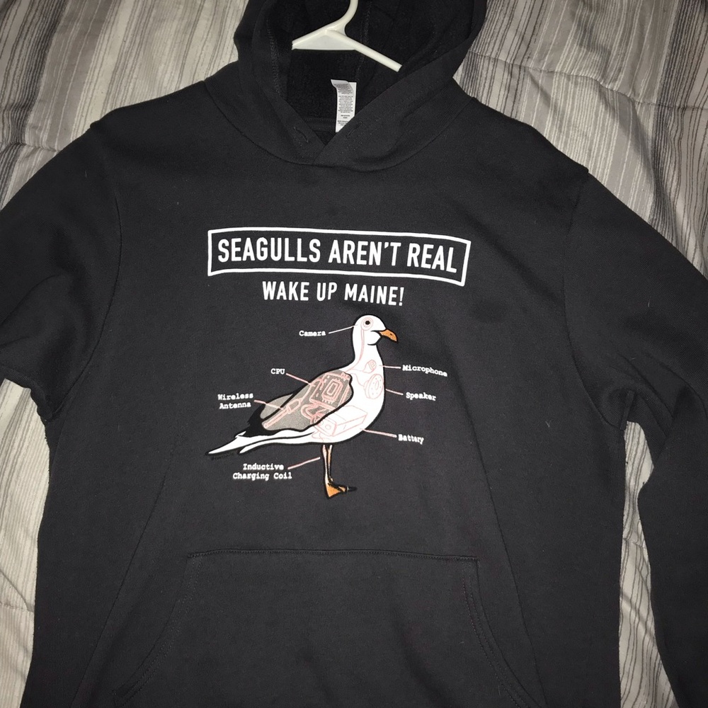 Seagulls aren't real hoodie